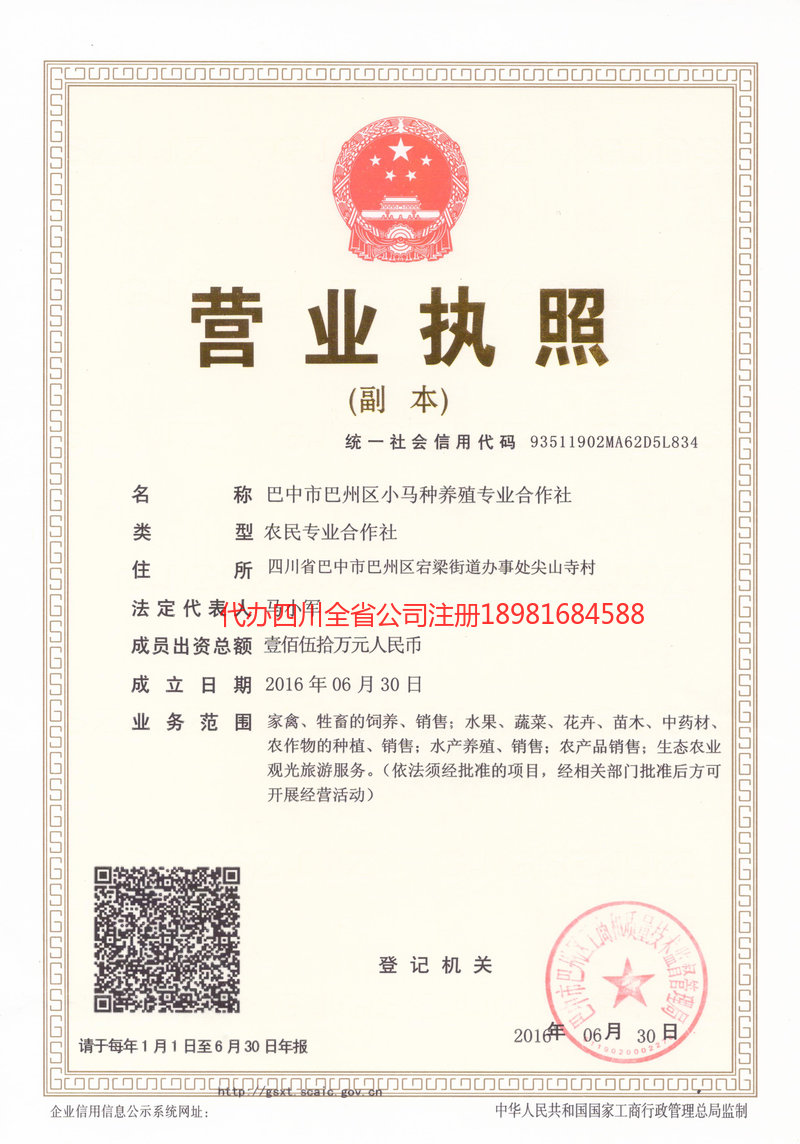 河津河津小马种养殖专业合作社